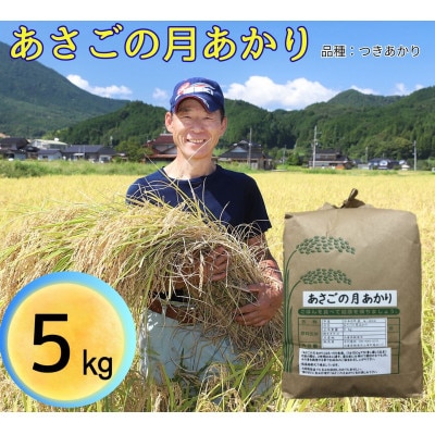令和8年産 「あさごの月あかり」5kg 白米 木村さんのお米 つきあかり