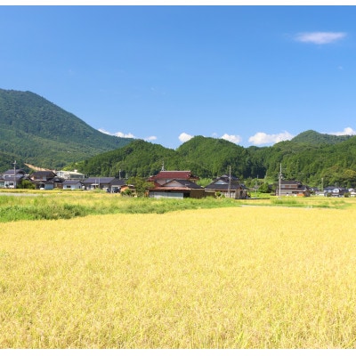 令和8年産 「あさごの月あかり」5kg 白米 木村さんのお米 つきあかり