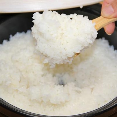 【毎月定期便】高本さんちのコシヒカリ【白米】5kg×2袋・全6回