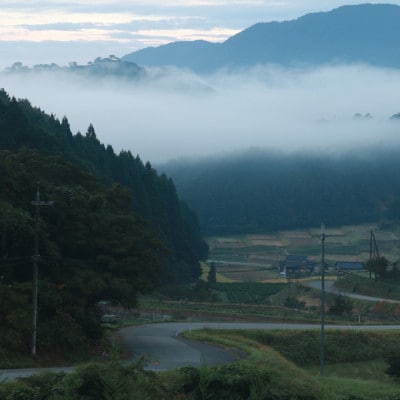 【毎月定期便】栽培期間中農薬を減らしお作りした 三波農地を守る会のコシヒカリ(5kg)白米・全6回