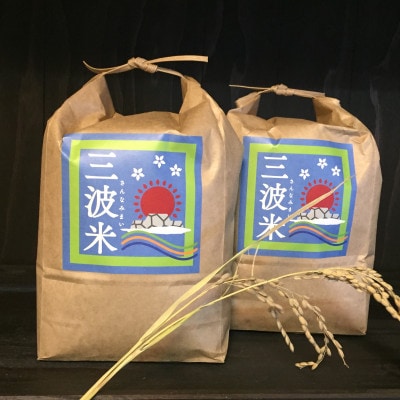 【毎月定期便】栽培期間中農薬を減らしお作りした　三波農地を守る会のコシヒカリ10kg　玄米・全6回