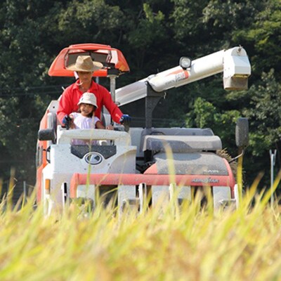 2023年2月発送開始『定期便』高本さんのコウノトリ育む農法玄米3.8kg栽培時農薬不使用　全3回