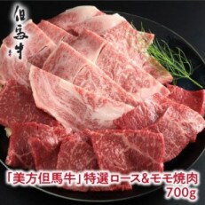 【美方但馬牛】特選ロース&モモ 焼肉用 700g【A4ランク以上】 | ふるさと納税のお礼品