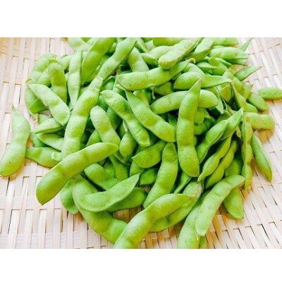 ビールとの相性ぴったり!旬の枝豆直送便「朝来大黒」【約1.05kg(350g×3袋)】