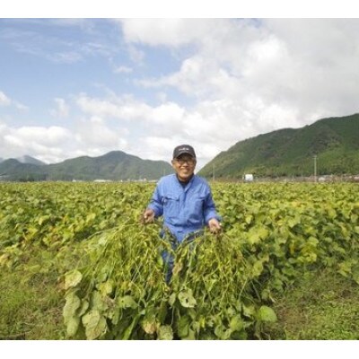 【令和4年産】香り芳しい!大粒「丹波黒大豆」300g