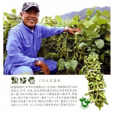 朝どれ!新鮮!村上さん自慢の丹波黒大豆の枝豆 350g×2『さやの状態でお届け』※10月中旬以降発送