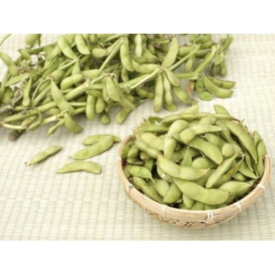 朝どれ!新鮮!村上さん自慢の丹波黒大豆の枝豆 350g×2『さやの状態でお届け』※10月中旬以降発送