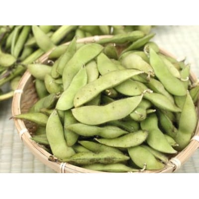 朝どれ!新鮮!村上さん自慢の丹波黒大豆の枝豆 350g×2『さやの状態でお届け』※10月中旬以降発送