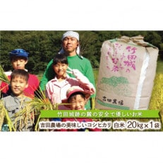 竹田城跡の麓 吉田農場の美味しいコシヒカリ(白米)20kg