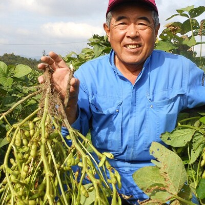【令和4年産】村上ファームさんの丹波黒豆300g(2L以上)