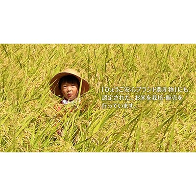 2023年1月発送開始『定期便』吉田農場の美味しいコシヒカリ10kg【1・3・5月】全3回