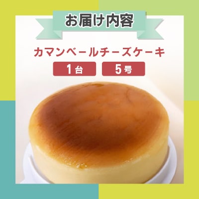 ジャージー牧場らいらっくチーズケーキ