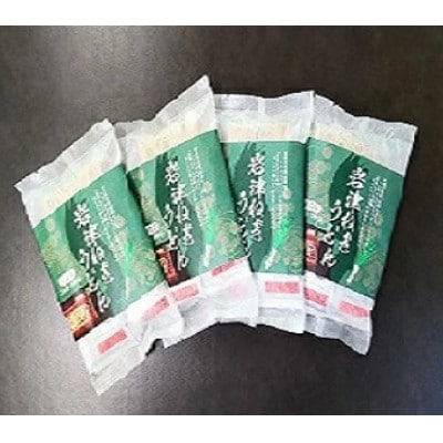 【半生】岩津ネギうどん8人前(2人前×4袋)※つゆ付き　|朝来市特産岩津ねぎ使用|のどごしつるつる