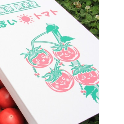 甘味・酸味・旨味のバランスが絶妙!坪井農園直送 こだわりトマト (12~15個)