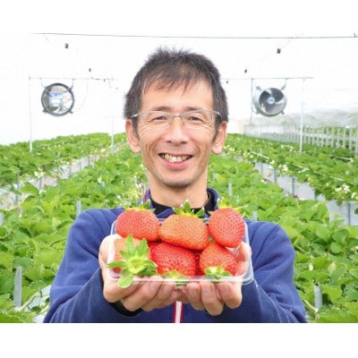そのまま食べても美味しい!坪井農園の冷凍いちご 【1kg×1袋】◎いちご氷・手作りジャムにも◎