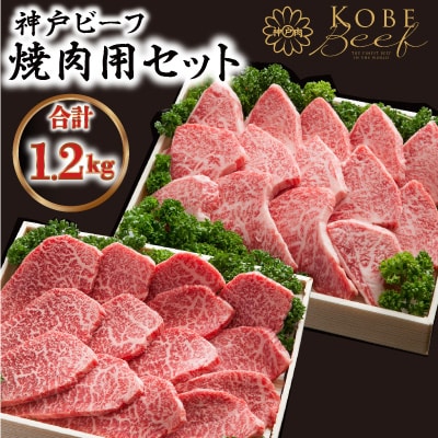 神戸ビーフ　ASGYS5　焼肉用セット