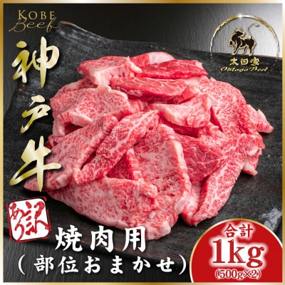 訳あり 神戸牛 焼肉用(部位おまかせ)1Kg(500g×2)ASGY2S