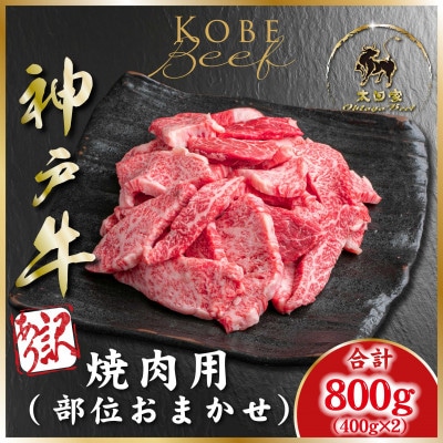 訳あり 神戸牛 焼き肉用(部位おまかせ) 計800g ASGY1-2 【2026年4月から順次発送】