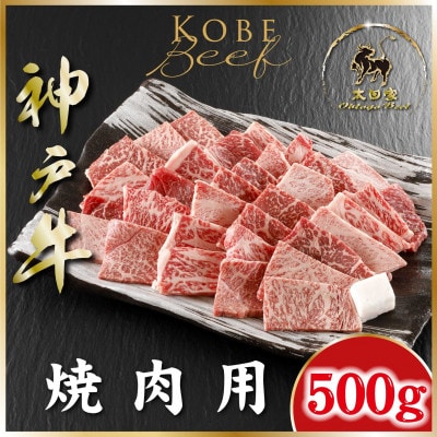 神戸牛(神戸ビーフ) 焼き肉用 牛脂付き 500g ASGY2 【2026年4月より順次発送】