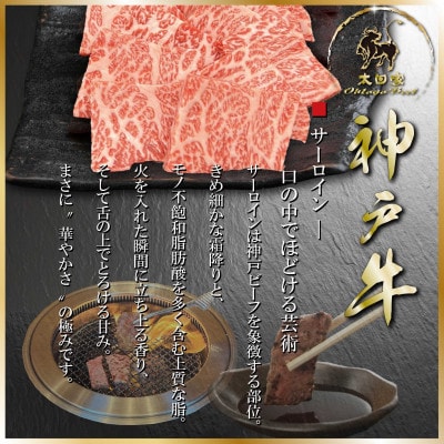 訳あり 赤身&サーロイン 焼肉用 300g ASGYS3