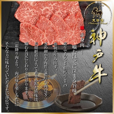 訳あり 赤身&サーロイン 焼肉用 400g ASGYS4
