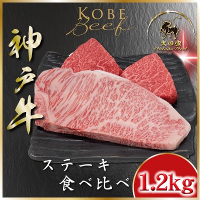 神戸牛 サーロイン&赤身 ステーキ食べ比べ 計1200g ASGST12