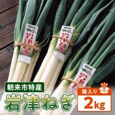 朝来市特産「岩津ねぎ」2kg(箱入り)