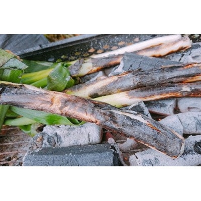 朝来市特産「岩津ねぎ」3kg(箱入り)