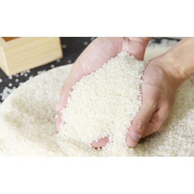 食味値が高く低農薬のコシヒカリ12kg【円山川源流域の清流で育った米】
