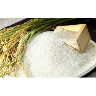 食味値が高く低農薬のコシヒカリ15kg【円山川源流域の清流で育った米】