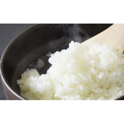 食味値が高く低農薬のコシヒカリ15kg【円山川源流域の清流で育った米】