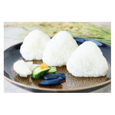 朝来産コシヒカリ米　15kg(5kg×1袋、10kg×1袋)