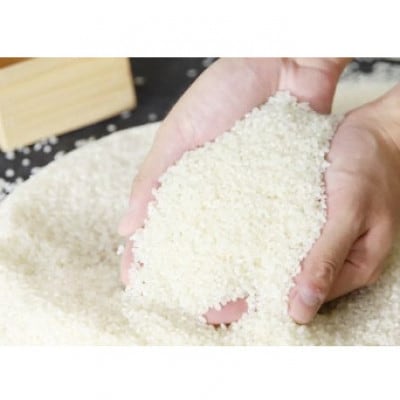 【毎月定期便】朝来市の円山川源流域の清流で育った低農薬のコシヒカリ(白米)5kgをお届け!全3回