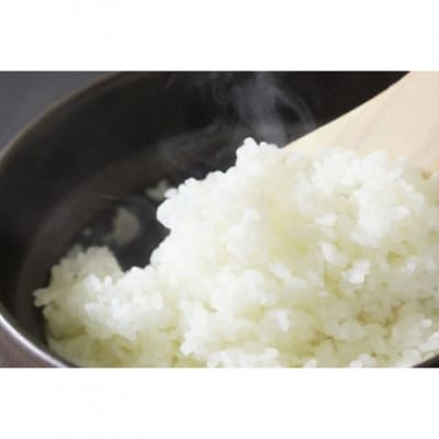 【毎月定期便】朝来市の円山川源流域の清流で育った低農薬のコシヒカリ(白米)5kgをお届け!全3回
