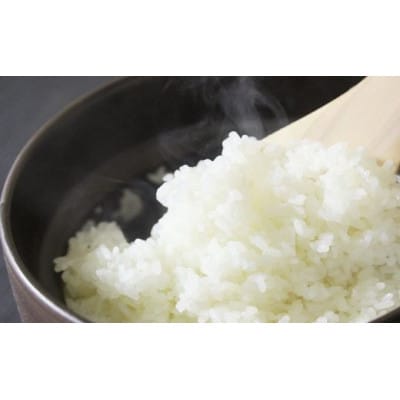 2023年6月発送開始『定期便』円山川源流域清流で育った食味値が高く低農薬コシヒカリ15kg全3回
