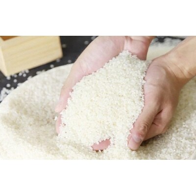 2023年6月発送開始『定期便』円山川源流域の清流で育った食味値が高く低農薬コシヒカリ3kg全3回