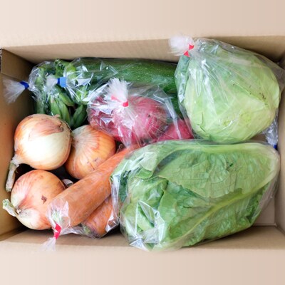 【栽培期間中農薬不使用】兵庫県の里山からお届け 旬の野菜詰め合わせ Sサイズ【5~7品目】