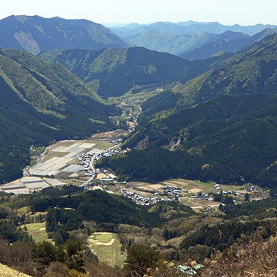 【栽培期間中農薬不使用】兵庫県の里山からお届け 旬の野菜詰め合わせ Sサイズ【5~7品目】