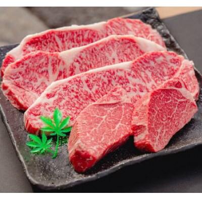 【神戸牛】シャトーブリアン 150g×2枚・サーロイン 200g×3枚　計900g