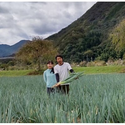特別栽培・岩津ねぎ　2kg