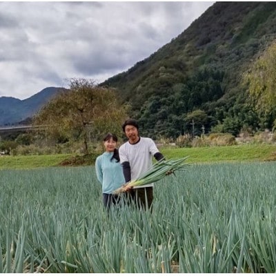 特別栽培・岩津ねぎ3kg