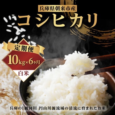 【発送月固定定期便】兵庫県朝来市産コシヒカリ 10kg(5kg×2袋)全6回
