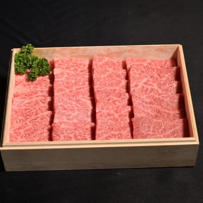 神戸牛一頭焼肉食べ比べセット800g