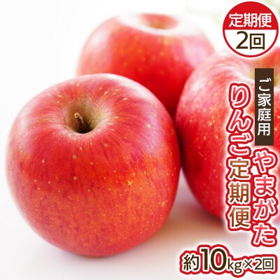 【定期便2回】ご家庭用 やまがたりんご定期便【令和8年産先行予約】FS25-793