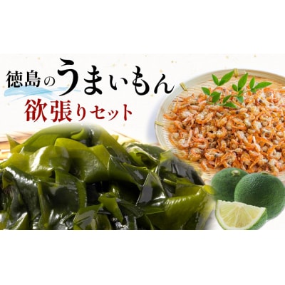徳島のうまいもん欲張りセット【BC007】