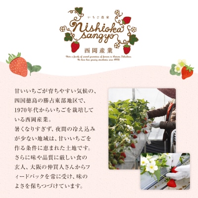  農家がつくったジャムいちご 130gパック(4個)【BH001】