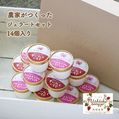 農家がつくったジェラート14個入【BH002】