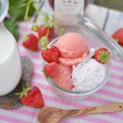 農家がつくったジェラート14個入【BH002】