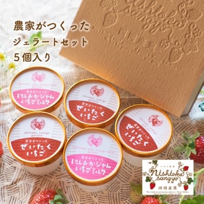 農家がつくったジェラートセット5個入【BH004】 