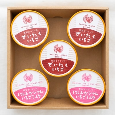 農家がつくったジェラートセット5個入【BH004】 